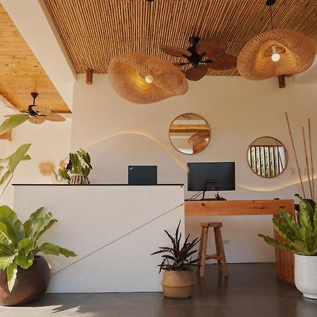 Molly Resort Bohol Taporok Exterior photo